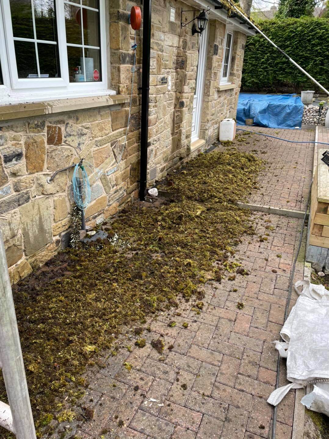 Moss Removal